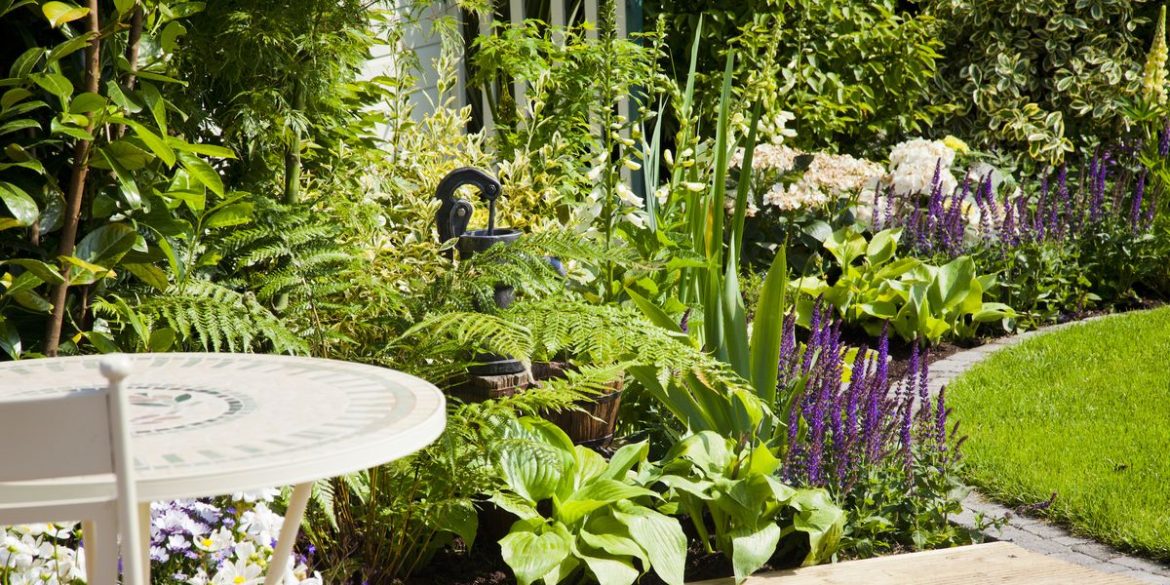 Surprising information about gardening service